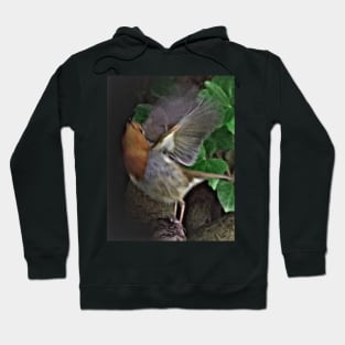 IN FLIGHT ENTERTAINMENT Hoodie